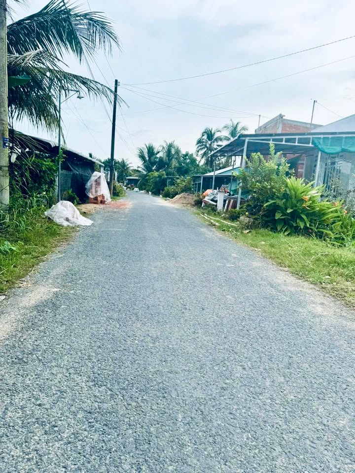 Đất nền lộ nhựa 300m² xã Tân Quới, Bình Tân - Giá thỏa thuận, pháp lý rõ ràng!