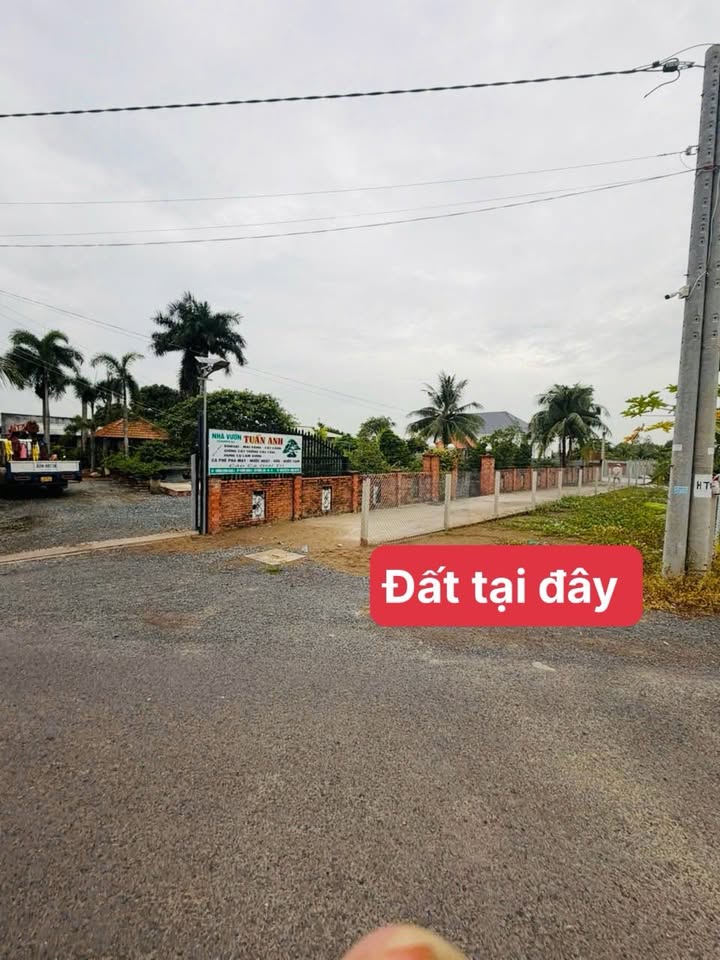 Đất nền Mỹ Lộc, Cần Giuộc 171m² giá bán 1.5 tỷ - Cơ hội đầu tư tuyệt vời!