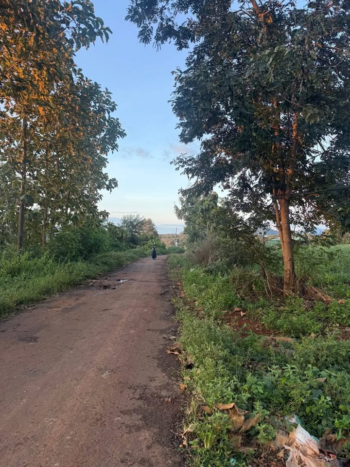 Đất nền 5000m² Ea Wy, Đắk Lắk - Cơ hội đầu tư tuyệt vời!