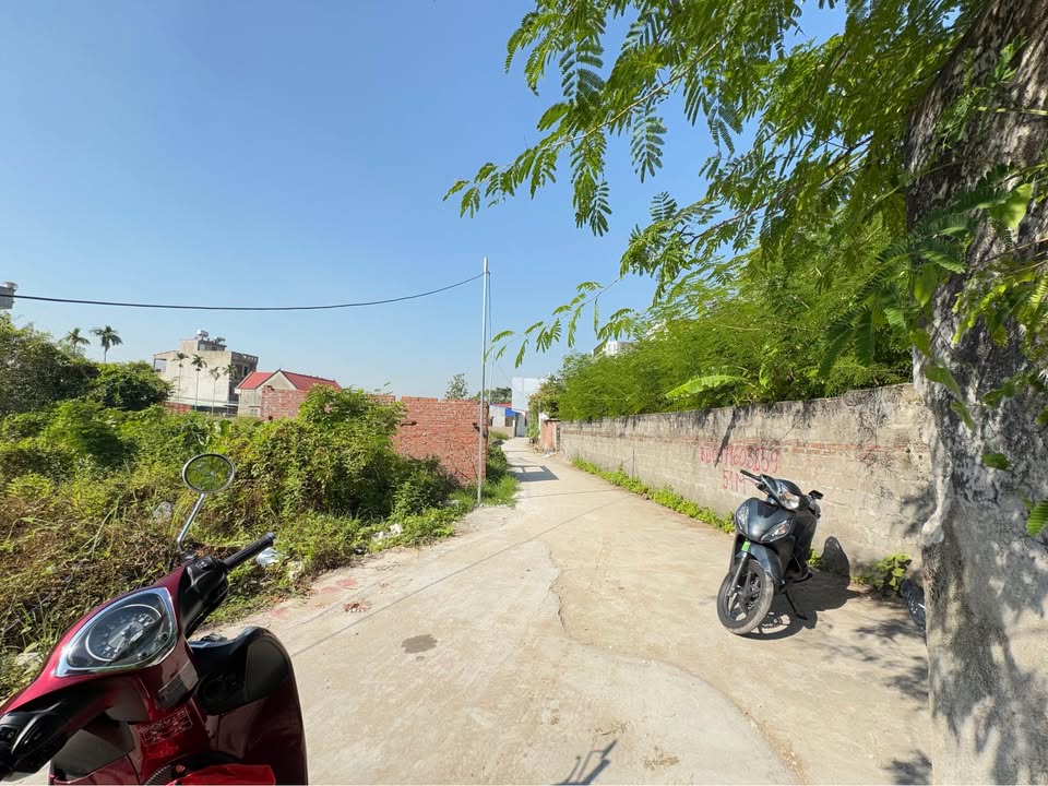 Đất nền An Đồng, An Dương 50m² giá 1.4 tỷ - Đầu tư sinh lời ngay!