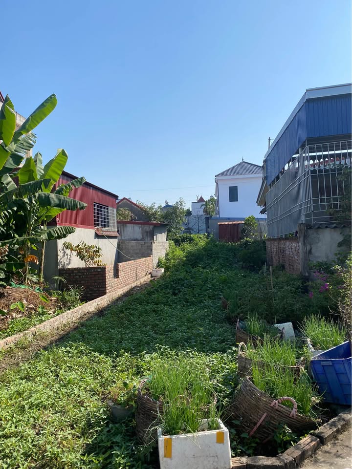 Đất thổ cư thôn 6 Bắc Sơn 101m² giá 1.7 tỷ - Vị trí đẹp, thuận tiện giao thông!