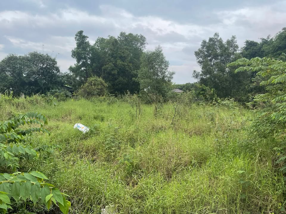 Đất ở Long Phước Thủ Đức 1.274,8m² giá 30 tỷ - Đầu tư sinh lời ngay!