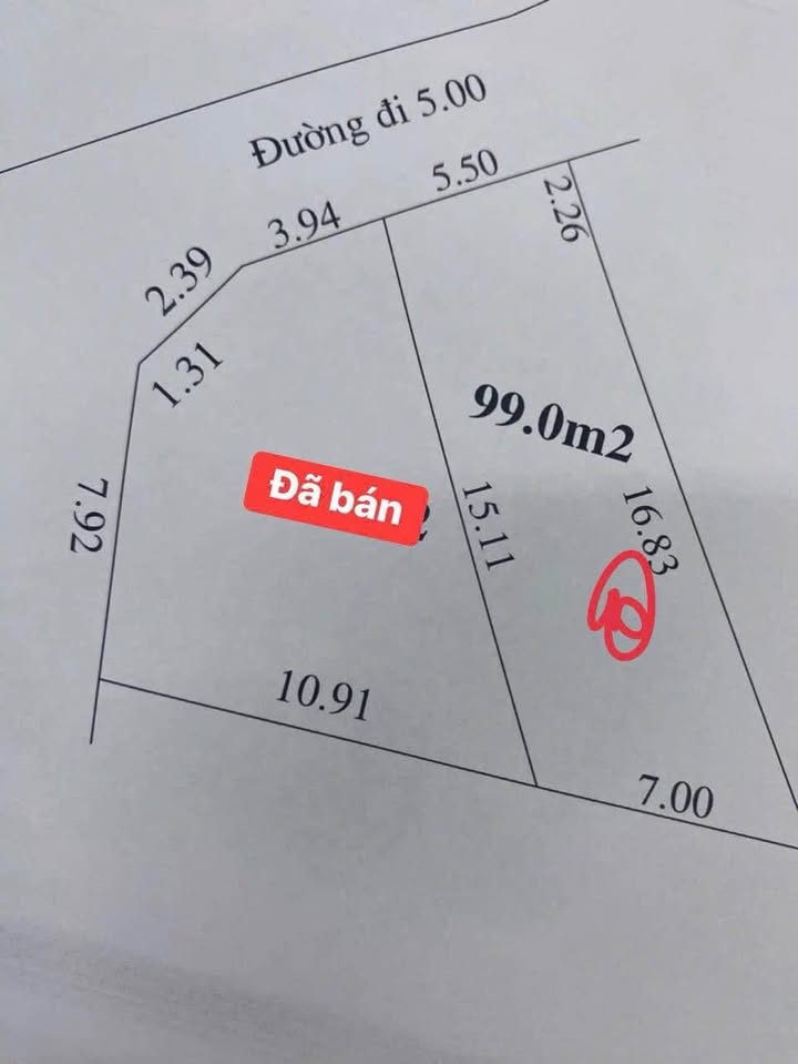 Đất nền Thủy Lương Hương Thủy 100m² giá 780 triệu - Đường ô tô, dân cư ổn định!