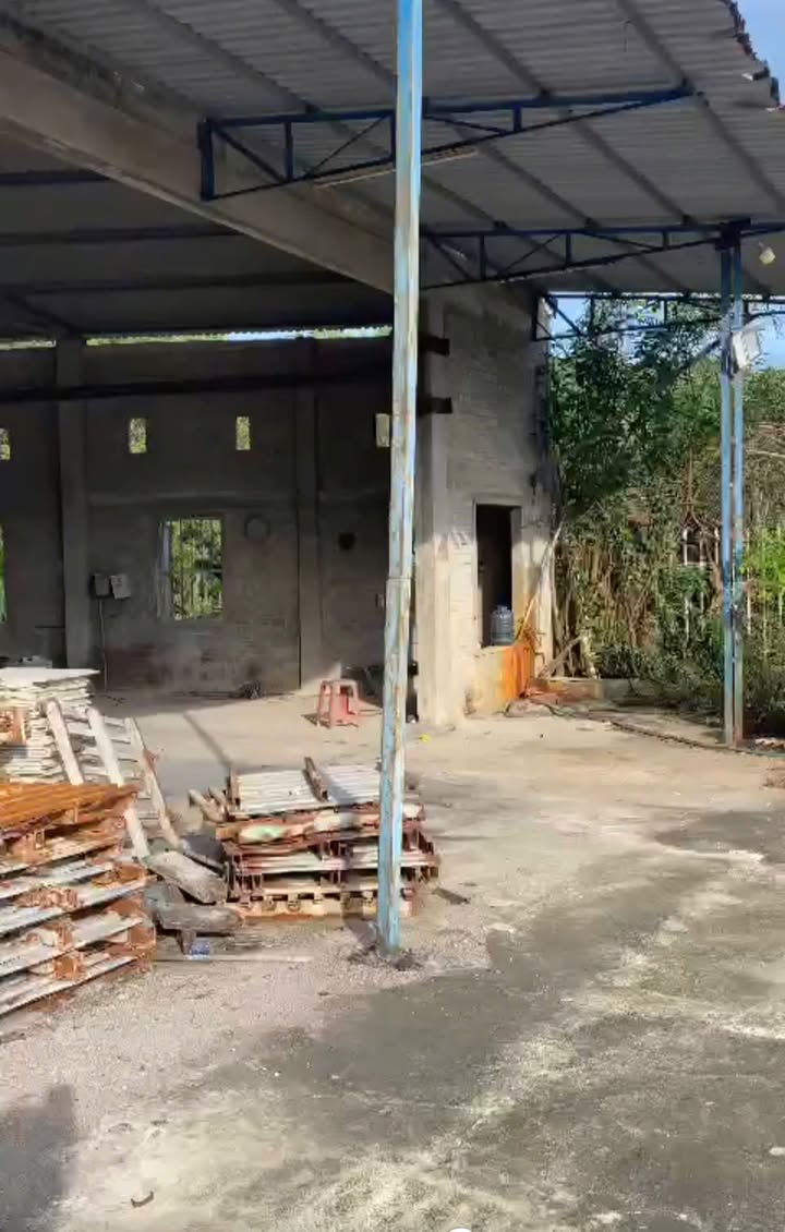 Đất chính chủ mặt tiền Thôn Quảng Tín, xã Phước Lộc, 1900m² giá 4.2 tỷ - Cơ hội đầu tư hiếm có!