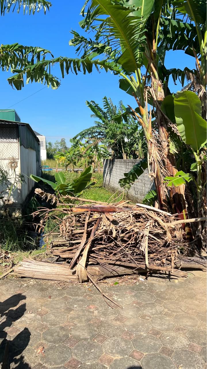 Townhouse Nam Sầm Sơn 90m² giá 1.7 tỷ - Còn 1 căn duy nhất!