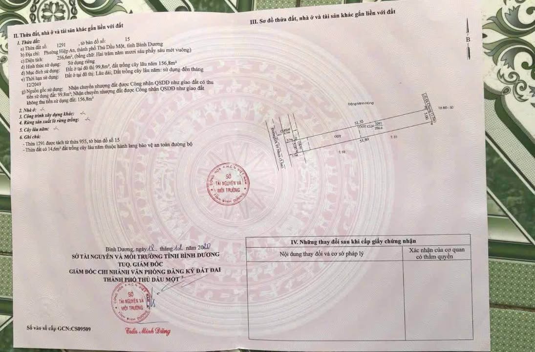 Đất mặt tiền đường ĐX 095 Phú An, Bình Dương 256m² - Giá chỉ 3 tỷ!