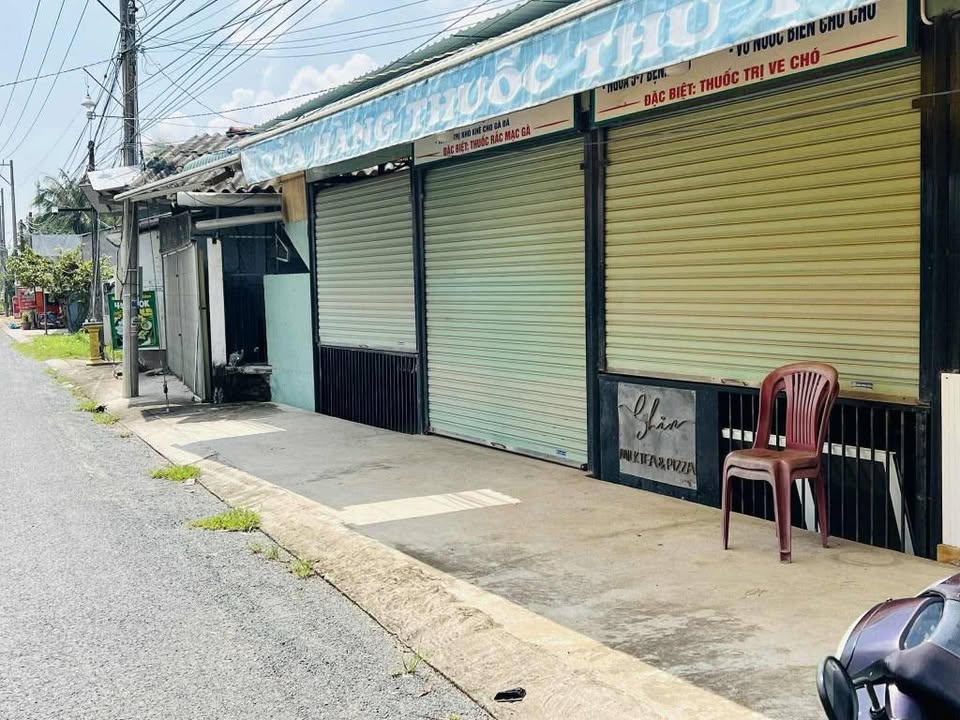 Đất nền mặt tiền Vang Quới Đông, Bình Đại 1100m² - Cơ hội đầu tư sinh lời!