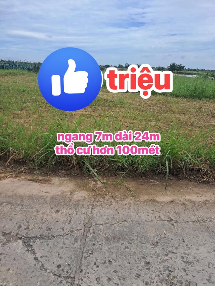 Đất thổ cư Tân Điền Gò Công Đông 168m² giá 200 triệu - Đường bê tông ô tô vào tận nơi!