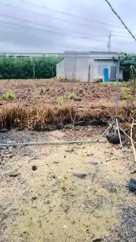 Bán nhà ấp 6 Vĩnh Tân 100m² giá 420 triệu - Sổ hồng chính chủ