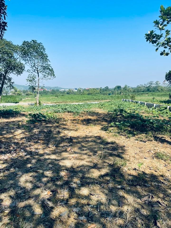 Đất nền Yên Bài Ba Vì 760m² giá 7.6 tỷ - Cơ hội đầu tư tuyệt vời!