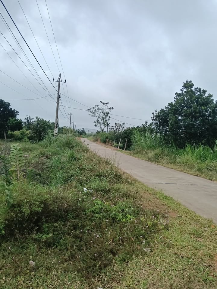 Đất nền tại Xuân Phú, Ea Kar, Đắk Lắk 12.000m² - Pháp lý rõ ràng, giá tốt!