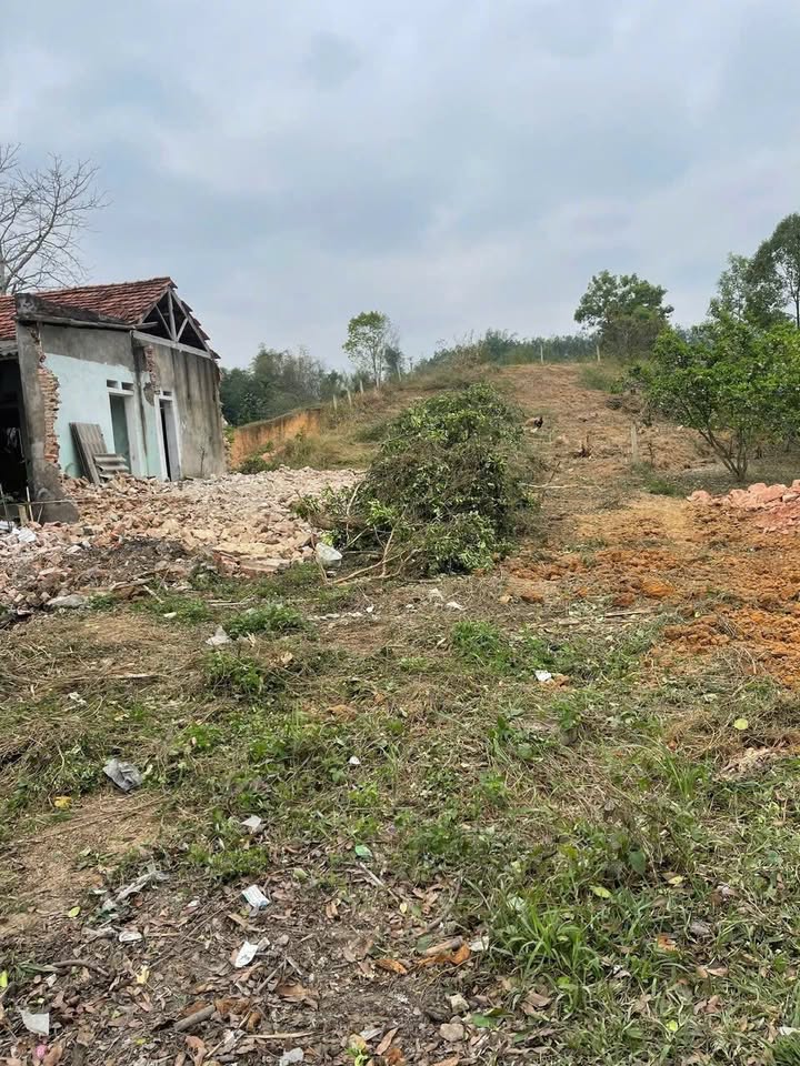 Đất Farm 700m² tại Đú Sáng, Kim Bôi chỉ 1 tỷ - Cơ hội đầu tư tuyệt vời!