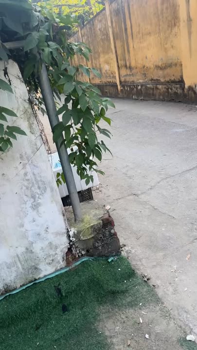 Đất nền Thanh Mỹ Sơn Tây 48m² giá 2 tỷ - Sổ đỏ chính chủ, ô tô vào tận nơi!