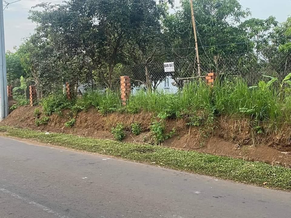 Đất mặt tiền đường nhựa Suối Nho 750m² - Cơ hội đầu tư tuyệt vời!