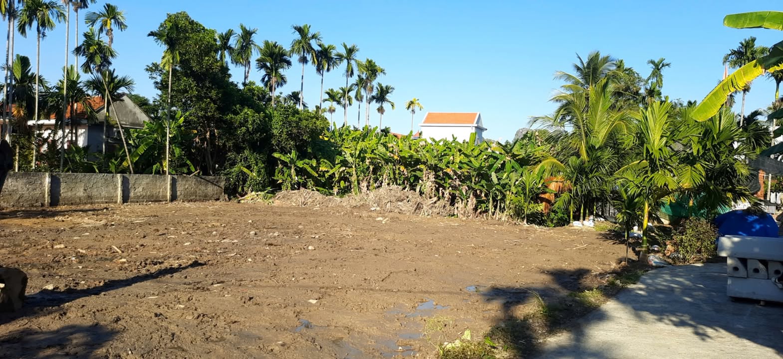 Đất nền Bạch Đằng Thủy Nguyên 60m² giá chỉ 435 triệu - Đầu tư sinh lời ngay!