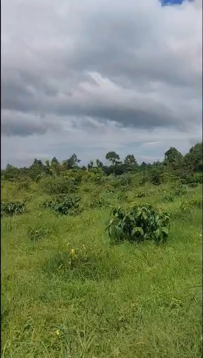 Đất nền Lộc Châu 1.1 sào giá chỉ 690 triệu - Sổ đỏ chính chủ!