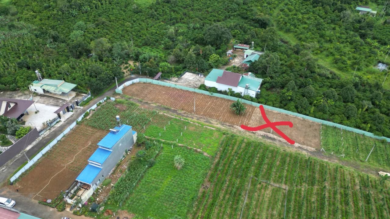 Đất nền Lộc An Bảo Lâm 103.35m² giá 480 triệu - Cần bán gấp!