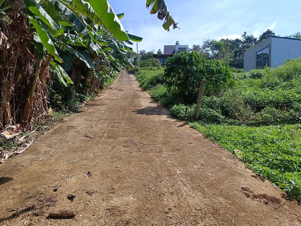 Đất nền Bảo Lộc 516m² giá 870 triệu - Cơ hội đầu tư tuyệt vời!