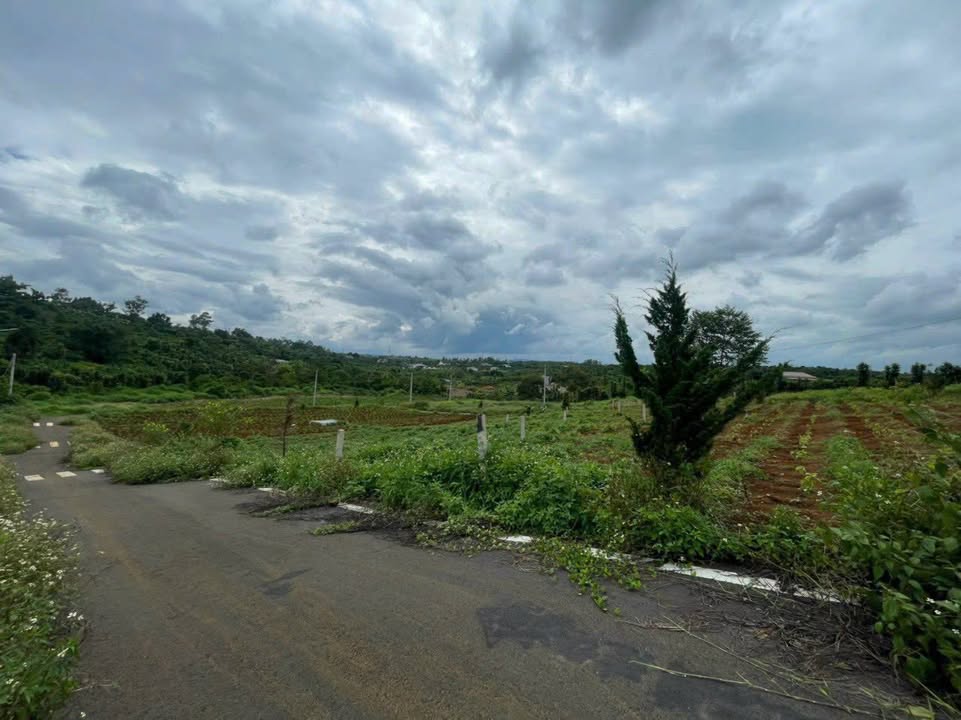 Đất nền Lộc An - Bảo Lâm 95m² giá 490 triệu - Đường nhựa, view thoáng