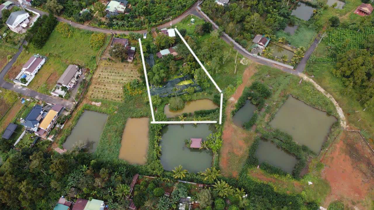 Đất nền Bảo Lộc 1500m² giá 5.6 tỷ - Phù hợp kinh doanh đa dạng