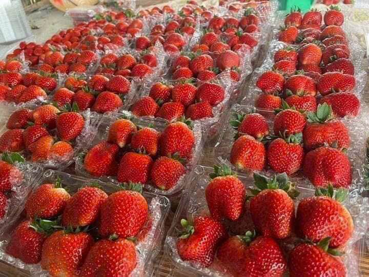 Đất nền 66m² mặt đường thôn Hoàng Động, giá chỉ 1.55 tỷ - Cơ hội đầu tư tuyệt vời!