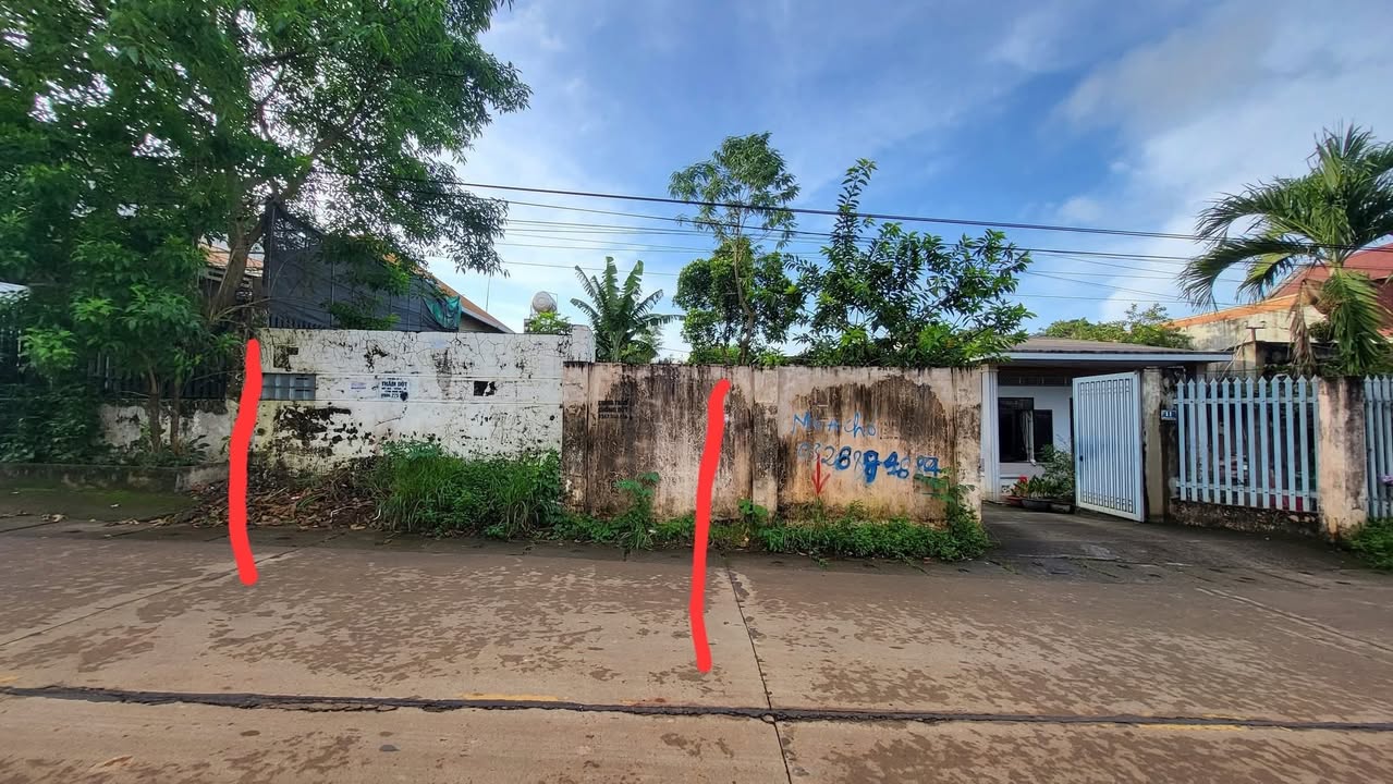 Đất mặt tiền Phùng Hưng, Ea Tam 334m² giá chỉ 4.2 tỷ - Cơ hội đầu tư hiếm có!