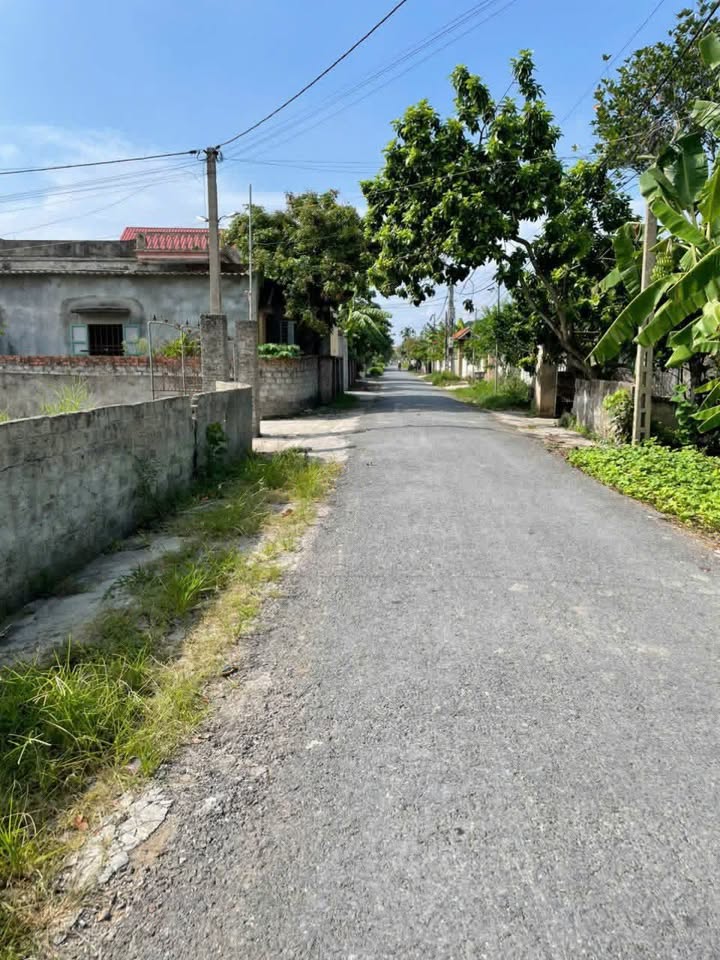 Đất nền Văn Tố Tứ Kỳ 225m² giá 1.9 tỷ - Pháp lý rõ ràng, sổ đỏ chính chủ!