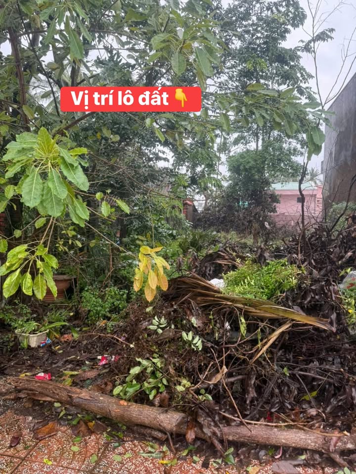 Đất thổ cư tại thị trấn Phù Mỹ, Bình Định 120m² giá 2.05 tỷ - Vị trí đắc địa gần Uỷ ban