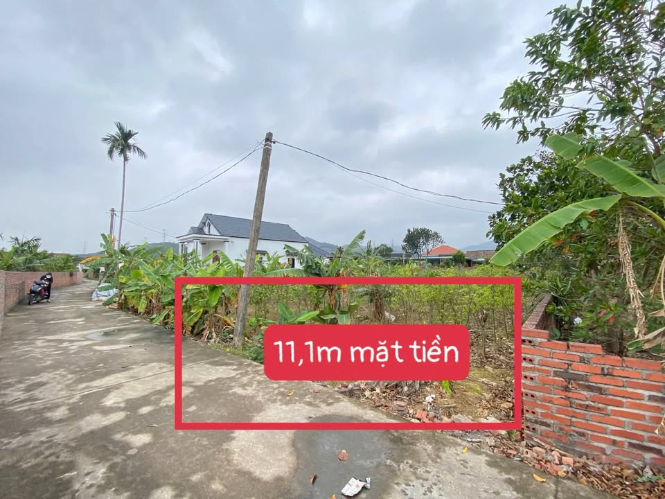 Đất nền An Sinh Đông Triều 311m² giá 700 triệu - Mặt tiền rộng ô tô vào tận nơi!