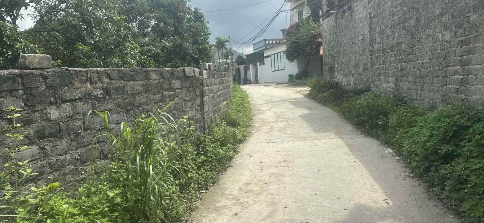 Đất thổ cư Hoàng Quế 119m² giá thỏa thuận - Mặt tiền rộng, vị trí đắc địa!