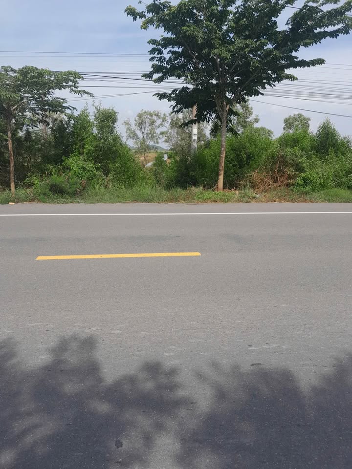 Đất mặt tiền Quốc Lộ 80, xã Dương Hòa, Kiên Lương 29.000m² - Cơ hội đầu tư tuyệt vời!