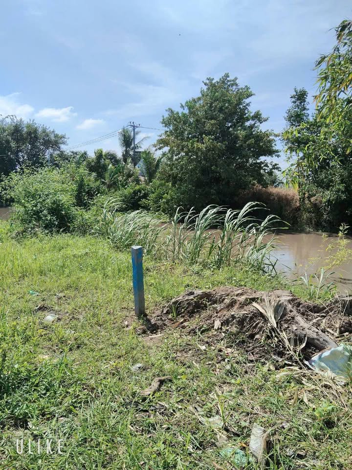 Đất nền thổ cư 334m² tại Ấp Hoà An, An Giang - Giá chỉ từ 2xx triệu VND!