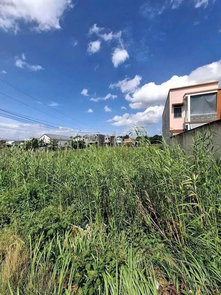 Đất thổ cư mặt tiền nhựa xã Long Thượng, Cần Giuộc 122.5m² giá 1.65 tỷ - Đầu tư sinh lời ngay!