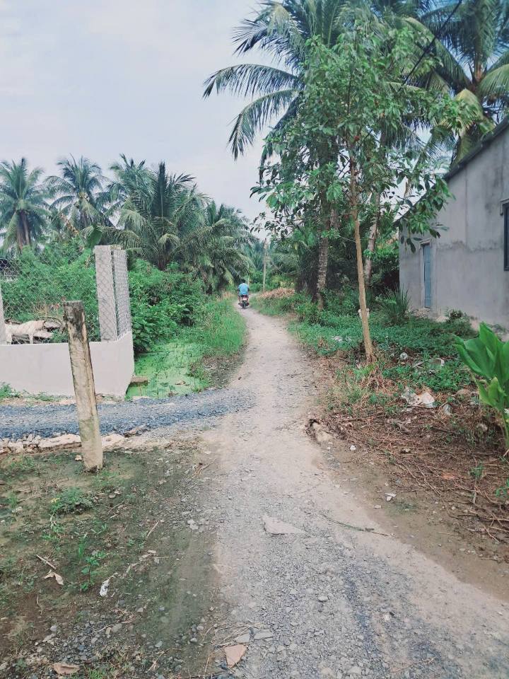 Đất nền 1559m² Hòa Lạc Trung, Chợ Gạo, Tiền Giang - Giá chỉ 1 tỷ, đầu tư sinh lời!