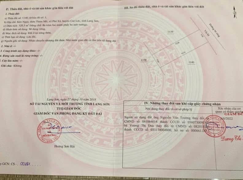 Đất nền thổ cư Đồng Đăng 320.3m² giá chỉ 3.203 tỷ - Cơ hội đầu tư hiếm có!