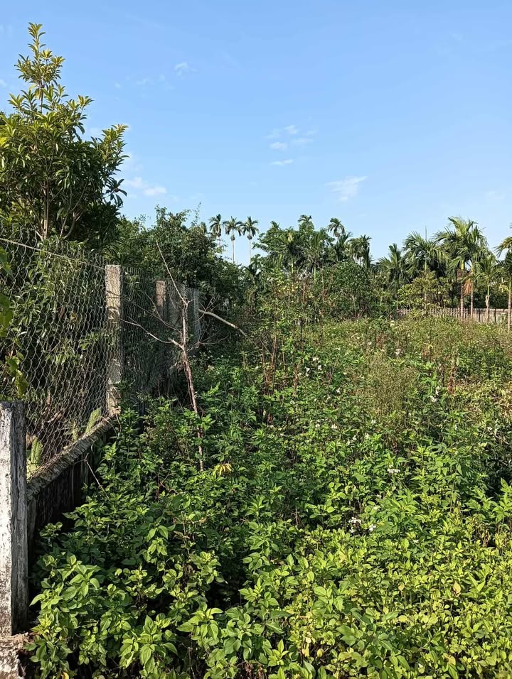 Lô đất Hải Xuân 210m² giá thỏa thuận - Đầu tư sinh lời ngay!