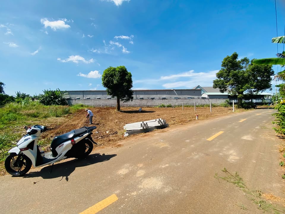 Đất nền Đất Đỏ 278m² - Mặt tiền đường nhựa lớn, cơ hội đầu tư không thể bỏ lỡ!