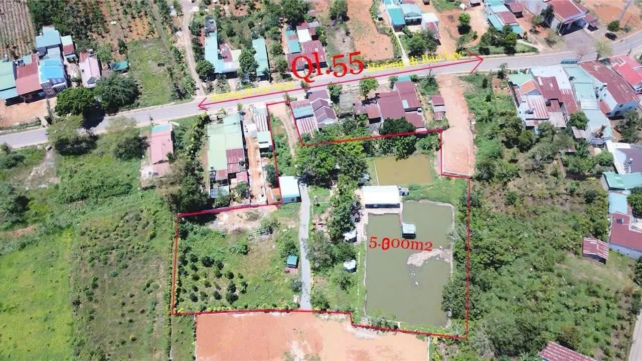 Đất thổ cư 5000m² mặt tiền Quốc lộ 55 tại Lộc Thành - Bán gấp 12 tỷ!