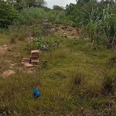 Đất nền thổ cư 500m² xã Mỹ Hiệp, Đồng Tháp - Giá rẻ cần bán gấp!