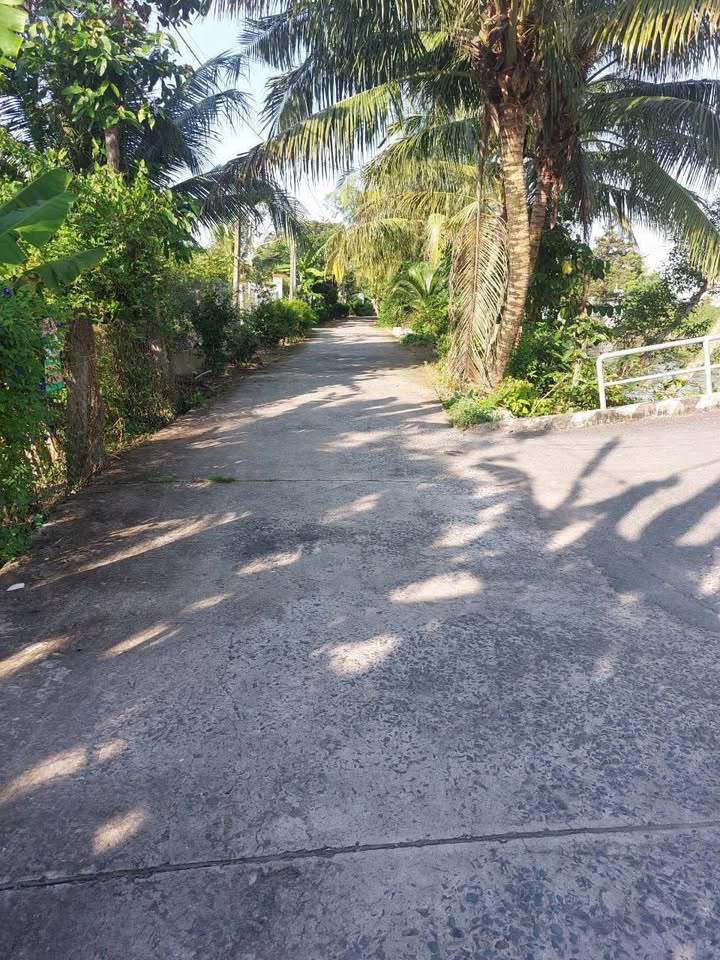 Đất nền kinh doanh xã Tân Dương, 504m² giá thỏa thuận - Đầu tư sinh lời ngay!