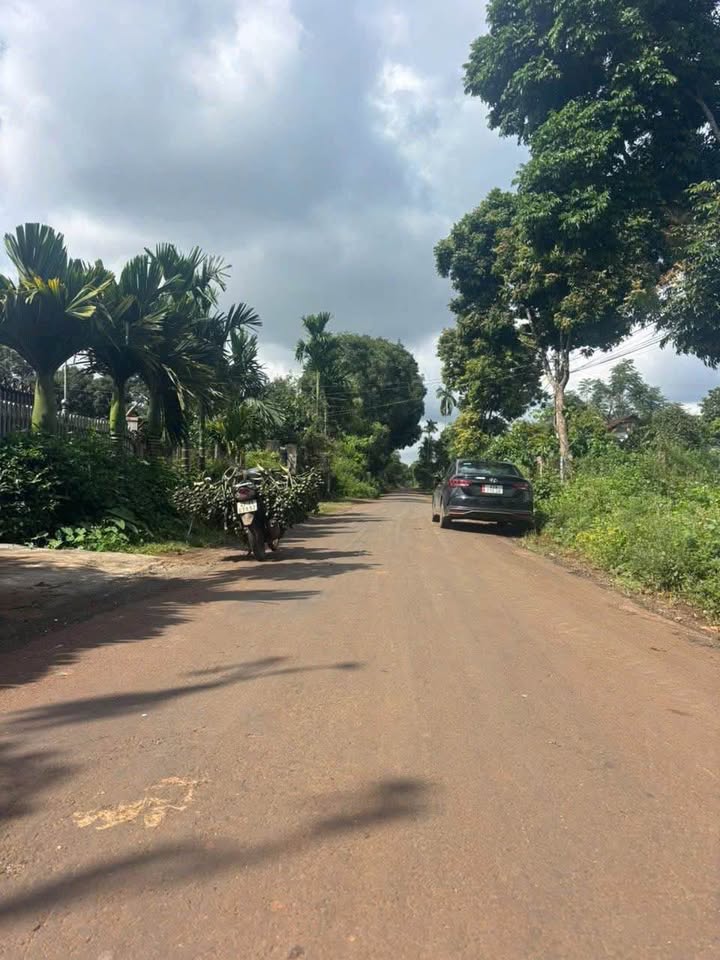 Đất thổ cư Mậu Thân, Tân Hoà 320m² giá 1.95 tỷ - Cơ hội đầu tư tuyệt vời!