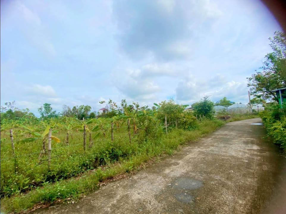 Đất nền Thạch Bình, Hà Tĩnh 202m² giá 1 tỷ - Đầu tư tiềm năng ngay khu vực Đặng Văn Bá!