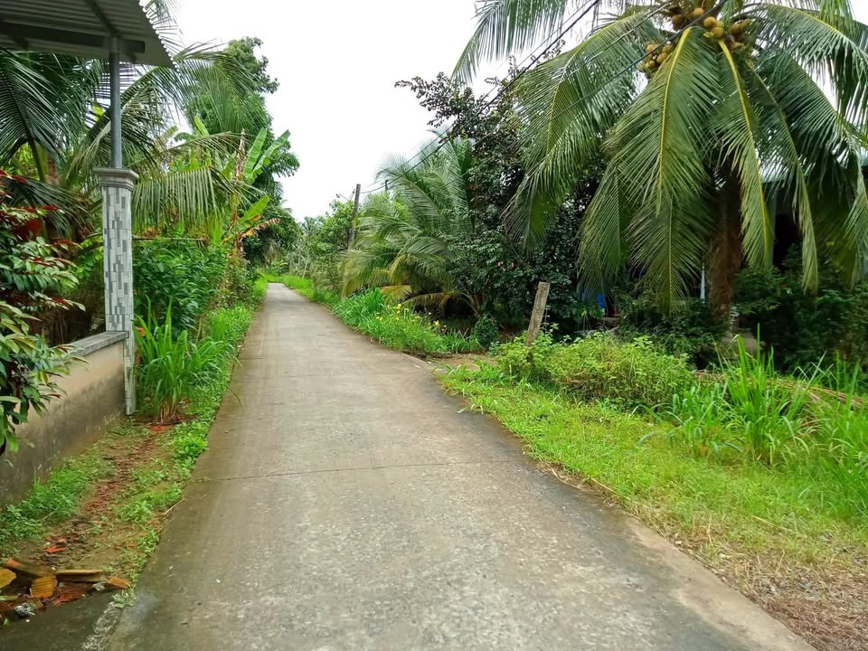 Đất nền 180m² tại Ấp Thạnh Thới, Chợ Gạo - Giá chỉ 450 triệu, thích hợp xây nhà ở!