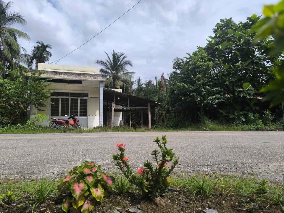 Đất và nhà cấp 4 tại Châu Bình, Giồng Trôm 314m² giá 1.2 tỷ - Tiềm năng kinh doanh lớn!