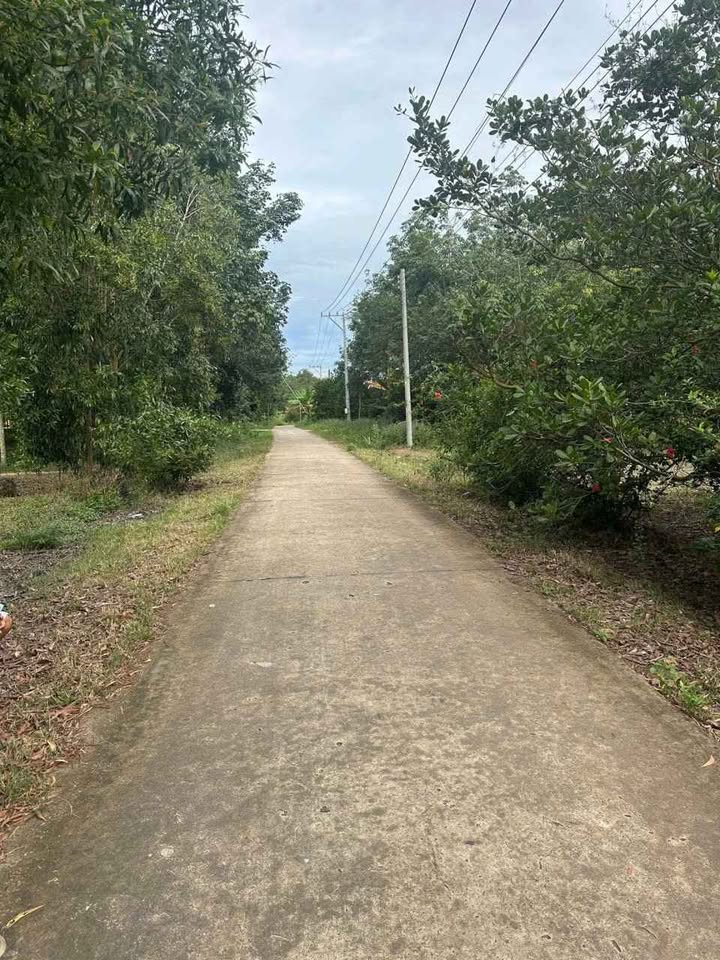 Đất Tân Quan, Hớn Quản 2,2ha giá 3 tỷ - Tiềm năng đầu tư lớn!