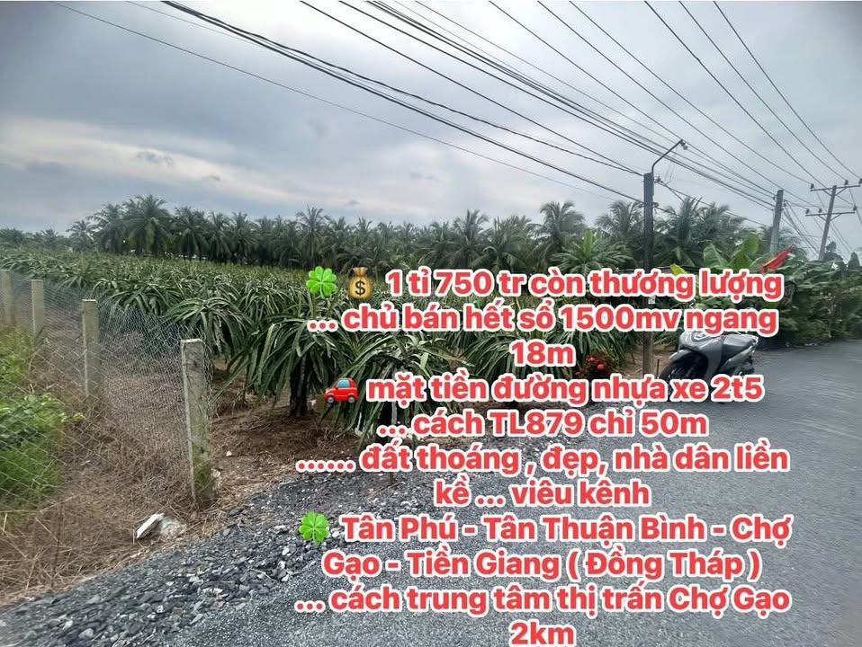 Đất Tân Thuận Bình 1500m² giá 1.75 tỷ - Mặt tiền đường nhựa rộng rãi!
