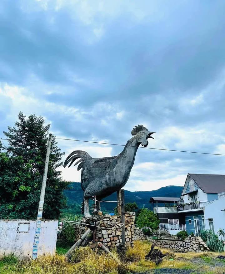 Đất nền Hiệp An, Đức Trọng 220m² giá 1.65 tỷ - Vị trí đẹp gần Làng Gà!