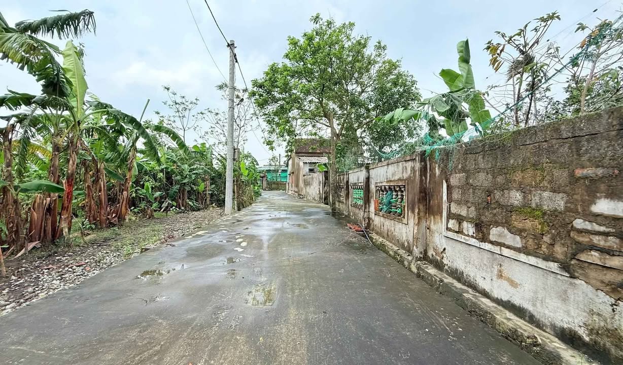 Đất TDP Liên Thanh, Trần Phú, 150m² giá 1.6 tỷ - Cơ hội đầu tư hấp dẫn!