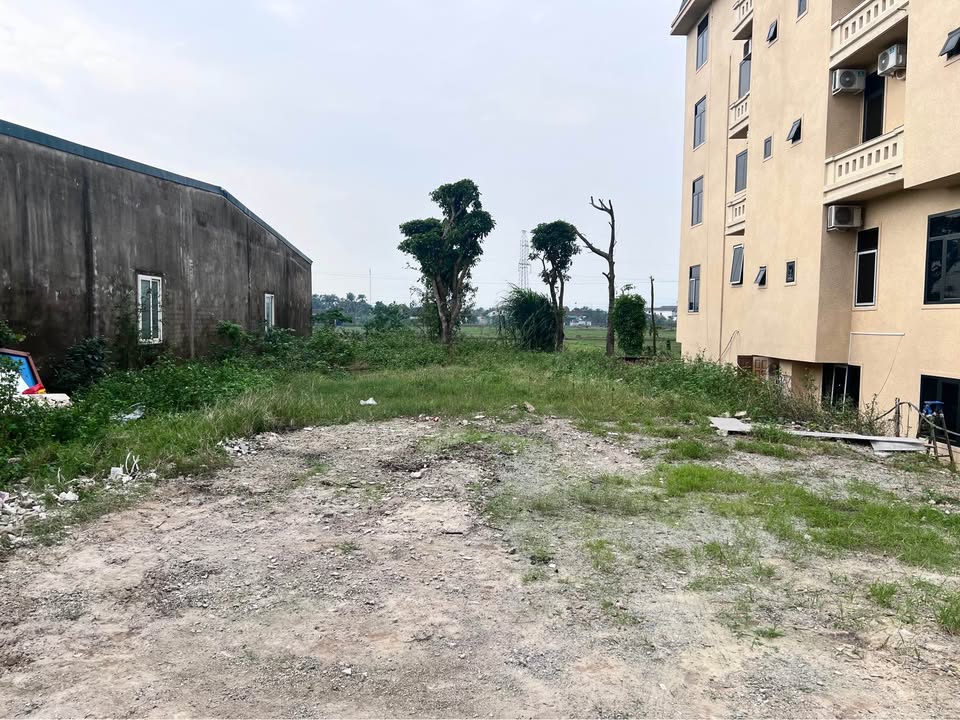 Đất mặt đường QL1A Thôn Đông Hạ 350.2m² giá 10 tỷ - Cơ hội đầu tư lý tưởng!