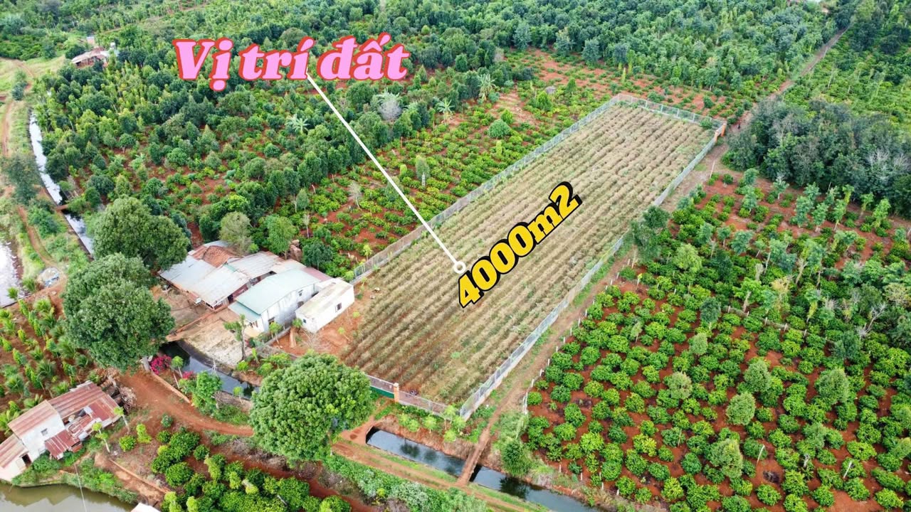 Đất sào xã Ea Kao 4000m² giá 4.35 tỷ - View hồ đẹp tuyệt mỹ!